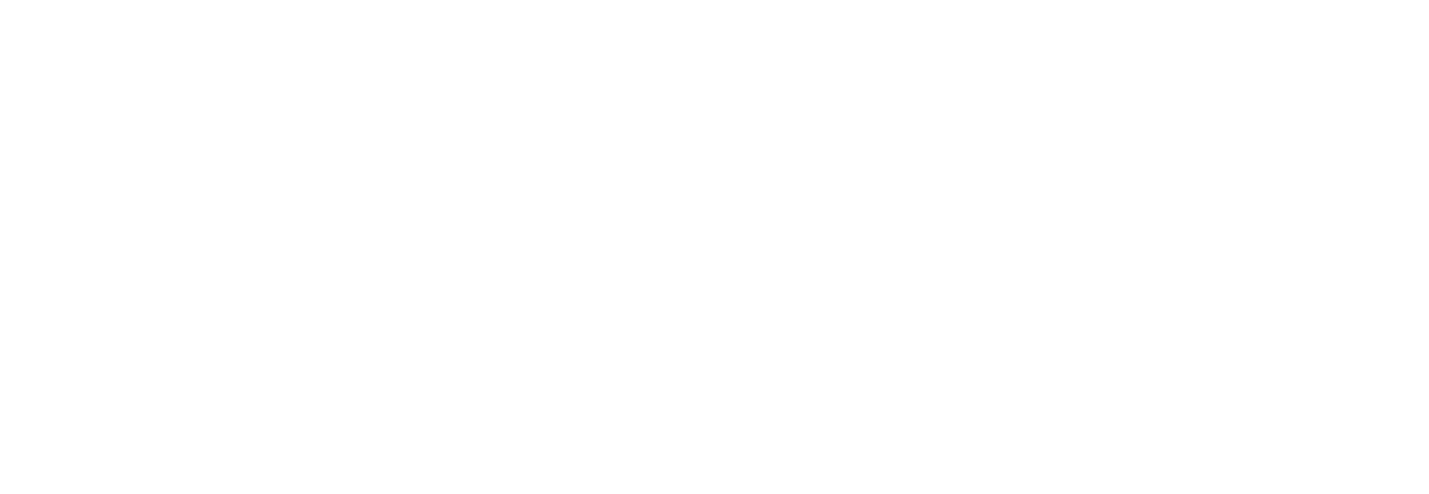 The Collectors Workshop